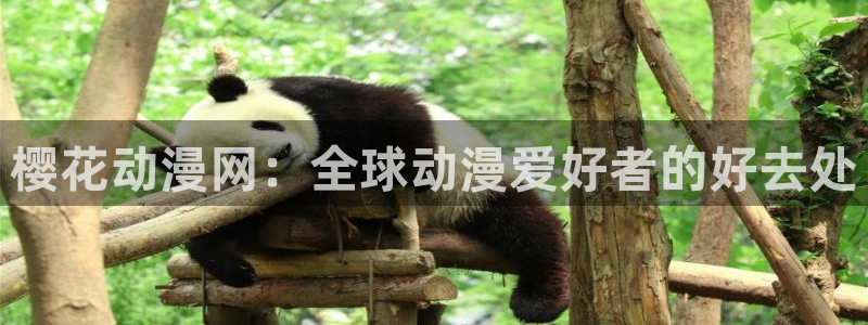 omofun有病毒吗：樱花动漫网：全球动漫爱好者的好去处