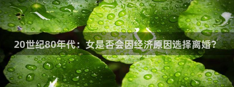 今年会：20世纪80年代：女是否会因经济原因选择离婚？
