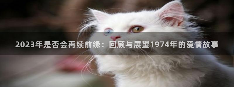 今年会app哪个模式容易赢：2023年是否会再续前缘：回顾与展望1974年的爱情故事
