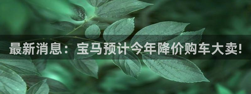 今年会登录网：最新消息：宝马预计今年降价购车大卖!