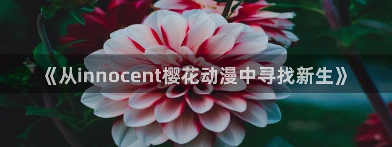 omofun动漫下载最新：《从innocent樱花动漫中寻找新生》
