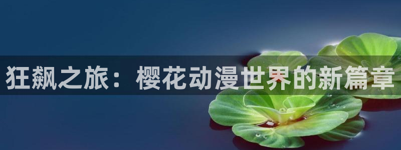 omofun动漫下载：狂飙之旅：樱花动漫世界的新篇章