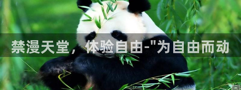 omofun最新版：禁漫天堂，体验自由-\