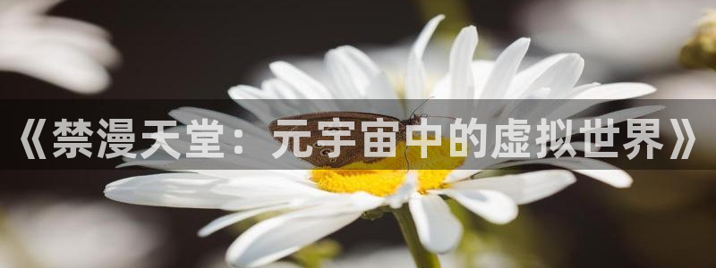 www.omofun.：《禁漫天堂：元宇宙中的虚拟世界》