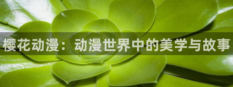 虫虫漫画最新版：樱花动漫：动漫世界中的美学与故事