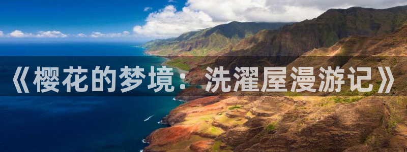 omofun动漫旧版本：《樱花的梦境：洗濯屋漫游记》