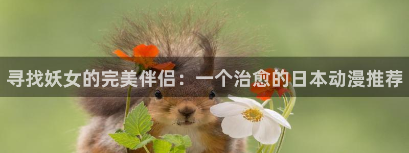 omofun下载入口：寻找妖女的完美伴侣：一个治愈的日本动漫推荐