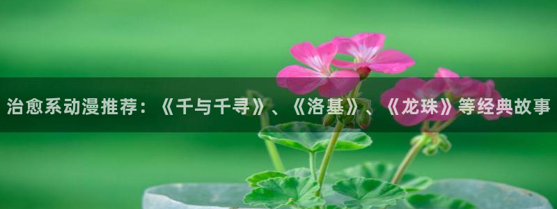 omofun.com：治愈系动漫推荐：《千与千寻》、《洛基》、《龙珠》等经典故事