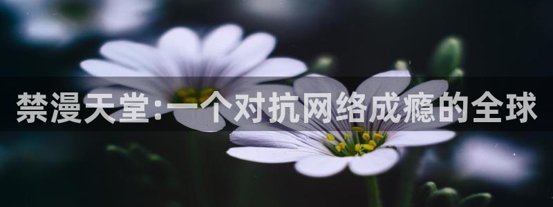 omofun动漫：禁漫天堂:一个对抗网络成瘾的全球