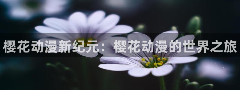 omofun最新版本：樱花动漫新纪元：樱花动漫的世界之旅