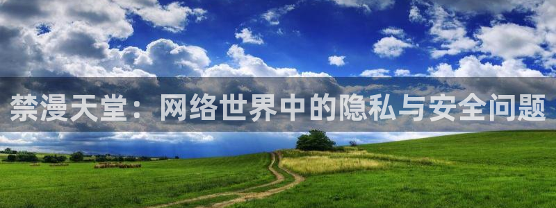 omofun怎么自签：禁漫天堂：网络世界中的隐私与安全问题