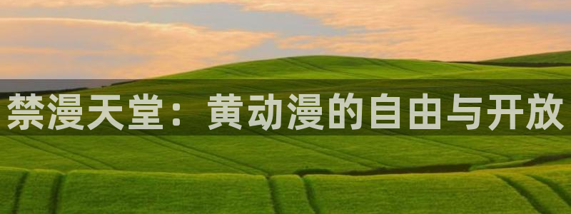 omofun动漫一个：禁漫天堂：黄动漫的自由与开放