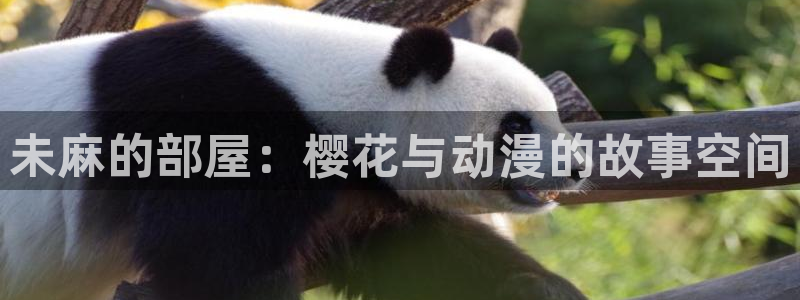 omofun新版本下载：未麻的部屋：樱花与动漫的故事空间