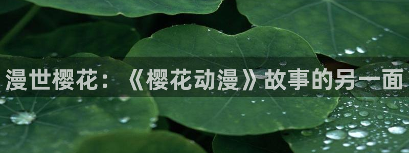 omofun动漫网官网：漫世樱花：《樱花动漫》故事的另一面