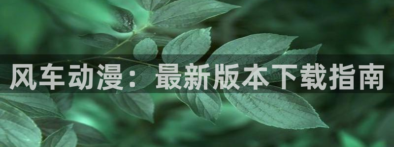 omofun.worko：风车动漫：最新版本下载指南