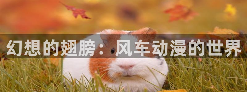 omofun新版本下载：幻想的翅膀：风车动漫的世界