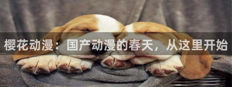 omofun正版app下载：樱花动漫：国产动漫的春天，从这里开始