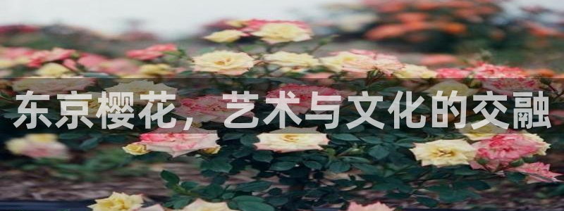 omofun动漫官网app下载：东京樱花，艺术与文化的交融