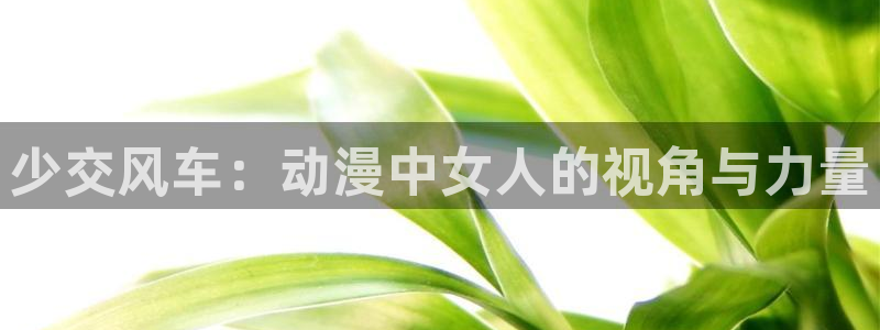 www.omofun：少交风车：动漫中女人的视角与力量