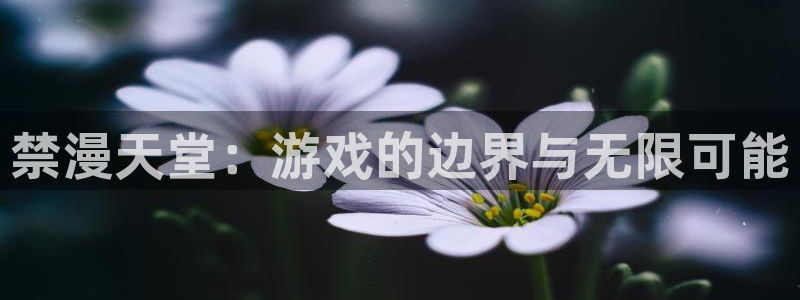 虫虫漫画最新版：禁漫天堂：游戏的边界与无限可能