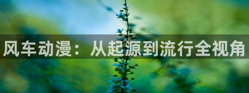 omofun,hanime：风车动漫：从起源到流行全视角